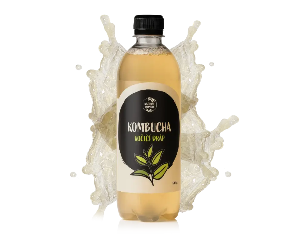 Kombucha - kočičí dráp 1 kus