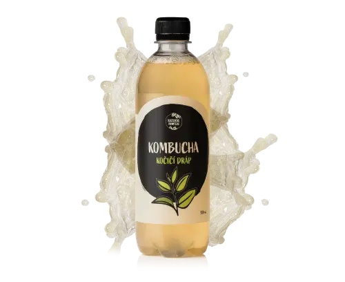 Kombucha - kočičí dráp